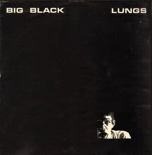 Lungs