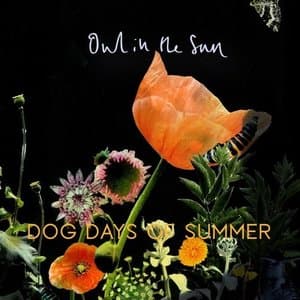 Dog Days of Summer
