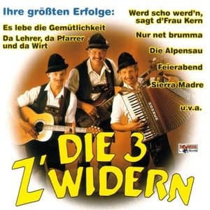 Ihre grossten Erfolge