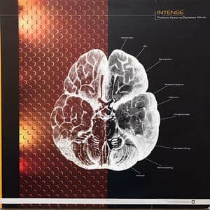 Positive Notions / Careless Minds