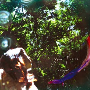 Your Thorn