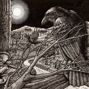The Crows & Gossip Among the Leaves