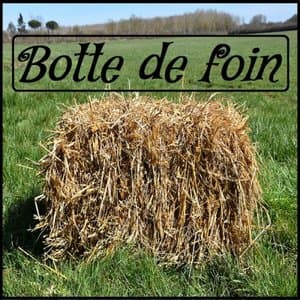 Botte de foin