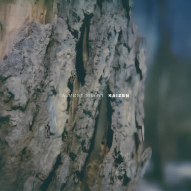 Kaizen