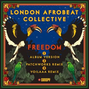 Freedom