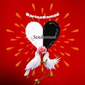 Soul Convergence