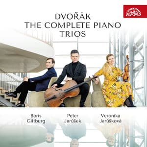 Dumky for Piano Trio