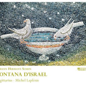 Schein: Fontana d'Israel