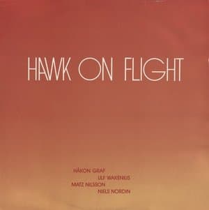 Hawk On Flight