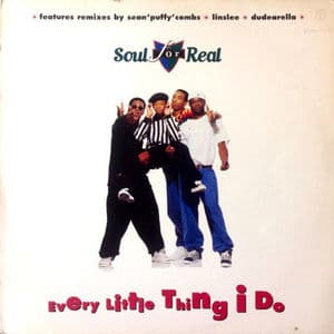 Every Little Thing I Do Remixes