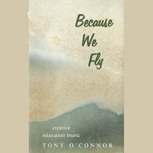 Because We Fly