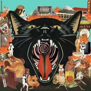 Cat Out of Hell