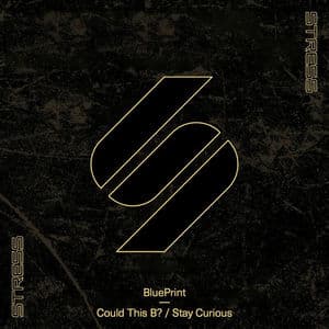 Could This B? / Stay Curious