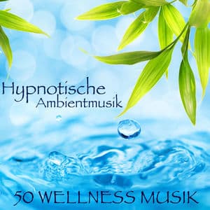 Hypnotische Ambientmusik - 50 Wellness Musik, Meditationsmusik und Entspannungsmusik für Zen, Spa, Yoga und Chill