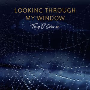 Looking Through My Window
