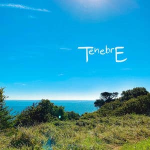 Musique d'un été