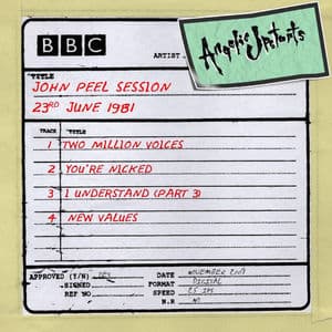 John Peel session 23rd June 1981