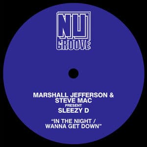 In The Night / Wanna Get Down