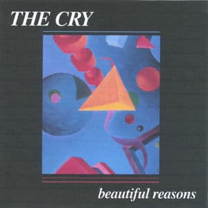 Beautiful Reasons
