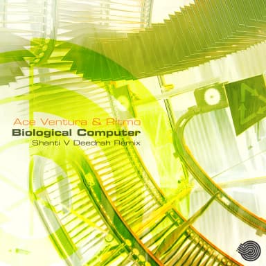 Biological Computer