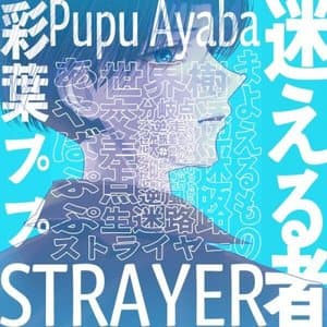 Strayer