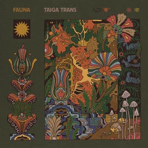 Taiga Trans