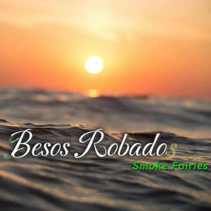 Besos Robados