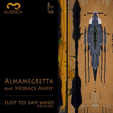 Just Say Who (Remixes)
