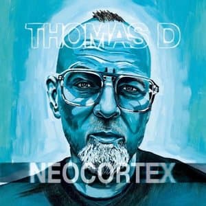Neocortex