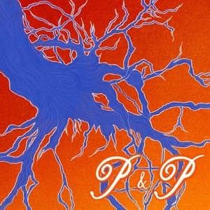 P&P