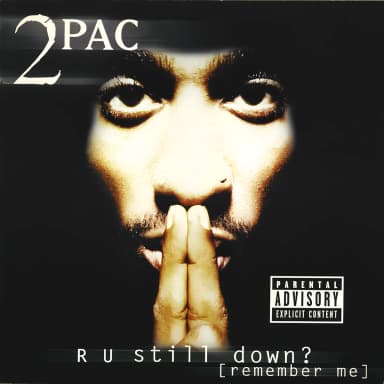 R U Still Down? [Remember Me]