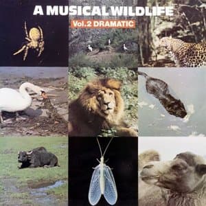 A Musical Wildlife, Vol. 2: Dramatic
