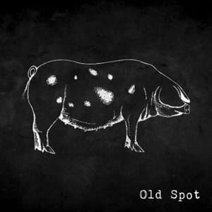 Old Spot II