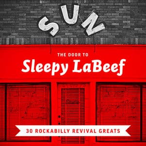 The Door to Sleepy LaBeef - 30 Rockabilly Revival Greats
