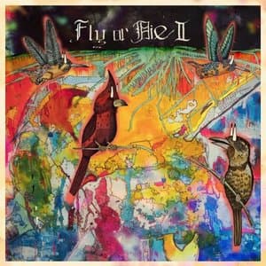 Fly or Die II Bird Dogs of Paradise