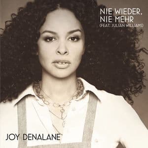 Nie wieder, nie mehr (feat. Julian Williams)