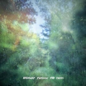 highway through the trees