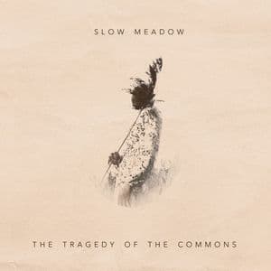 The Tragedy of the Commons