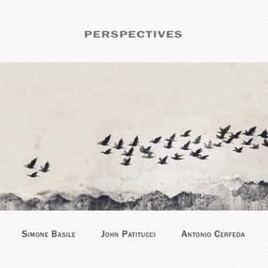 Perspectives