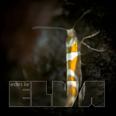 Elva