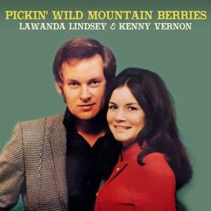 Pickin Wild Mountain Berries