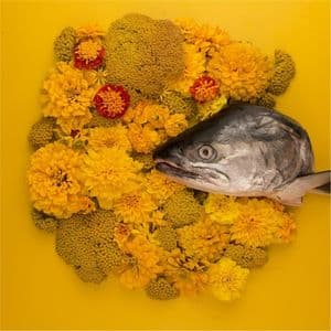 Fish Eyes EP