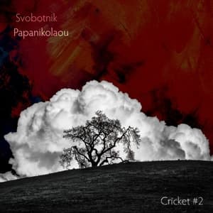 Cricket #2
