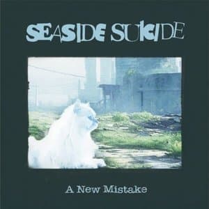A New Mistake