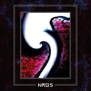 NRG 5