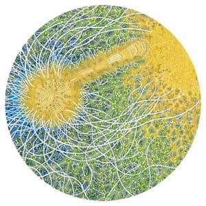 Feeling Is Structure