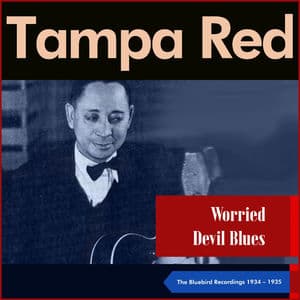 Worried Devil Blues (The Bluebird Recordings 1934 - 1935)