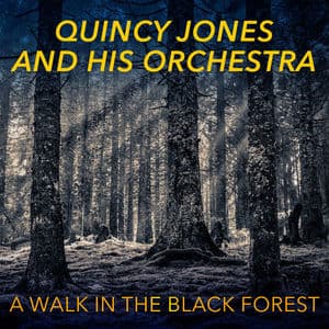 A Walk in the Black Forest