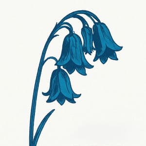 This Is…The Bluebells