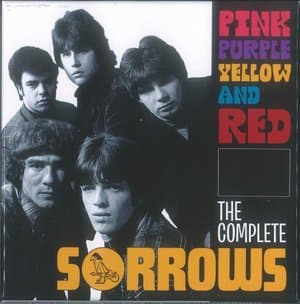 Pink Purple Yellow And Red The Complete Sorrows